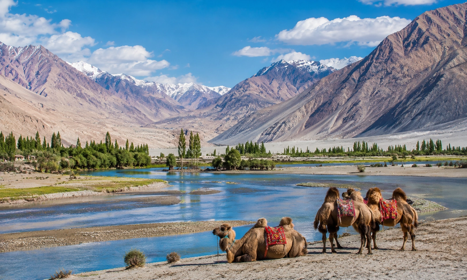 Nubra Valley and Pangong Lake Jeep Safari in Ladakh – scenic tour packages