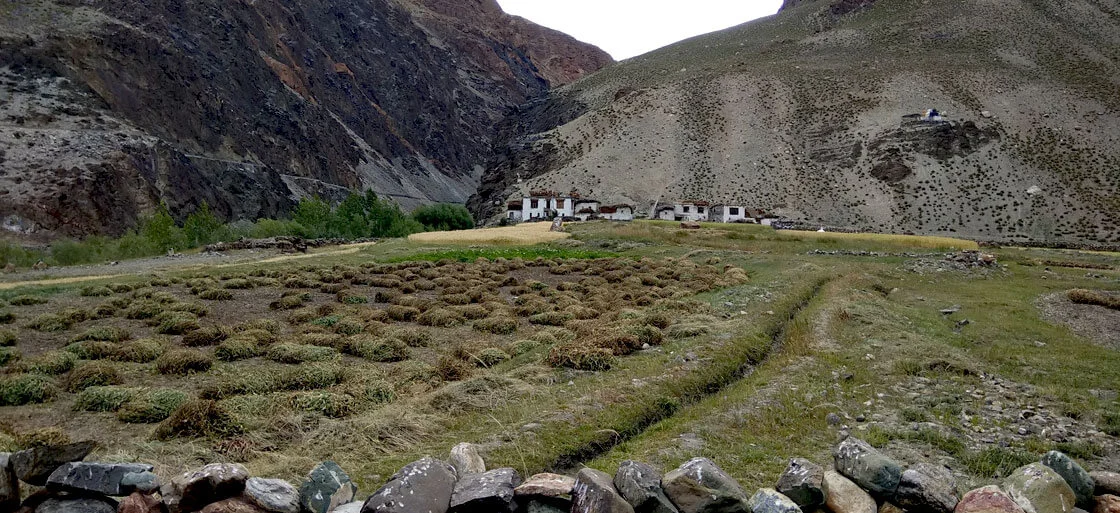 Best treks in Leh Ladakh