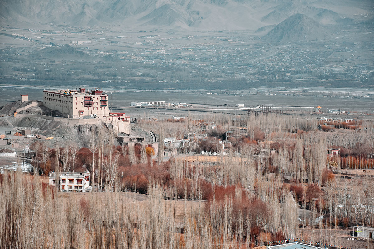 Ladakh culture tour