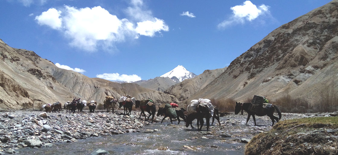 Ladakh Zanskar trekking