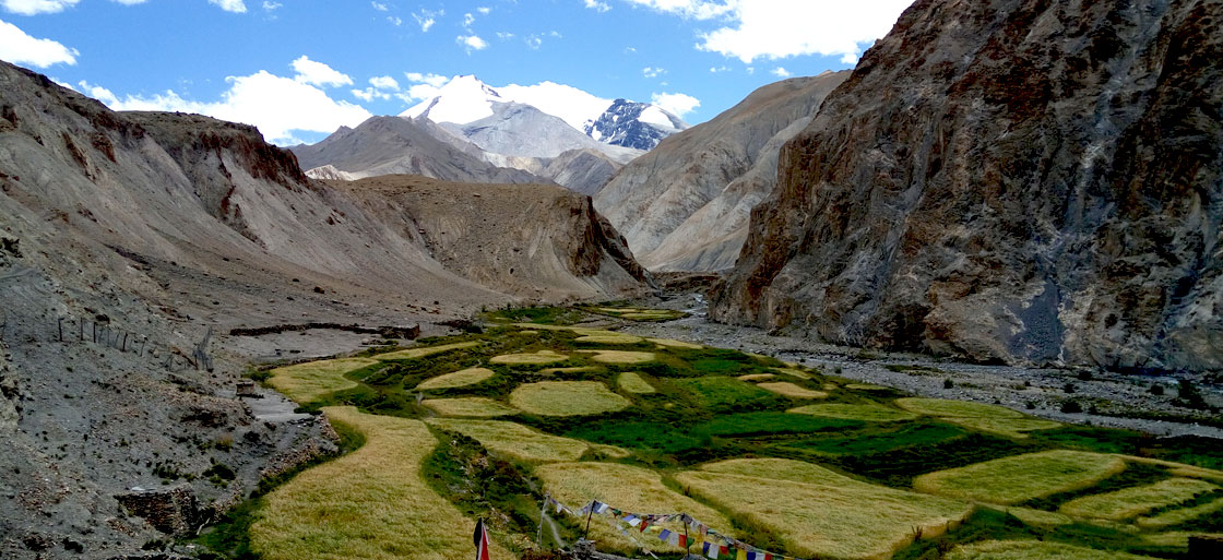 Frozen River Trek Leh Ladakh